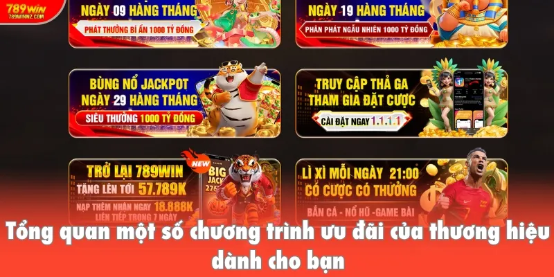 Tổng quan một số chương trình ưu đãi của thương hiệu dành cho bạn